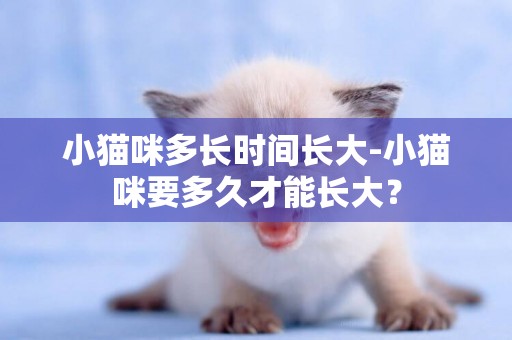 小貓咪多長時間長大-小貓咪要多久才能長大？