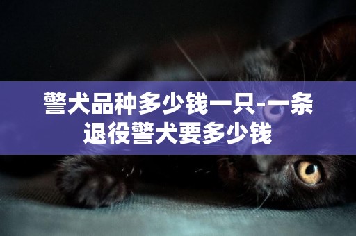 警犬品種多少錢一只-一條退役警犬要多少錢