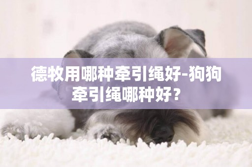 德牧用哪種牽引繩好-狗狗牽引繩哪種好？