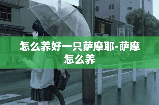 怎么養好一只薩摩耶-薩摩怎么養