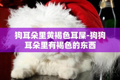 狗耳朵里黃褐色耳屎-狗狗耳朵里有褐色的東西