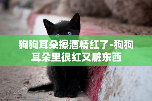 狗狗耳朵擦酒精紅了-狗狗耳朵里很紅又臟東西