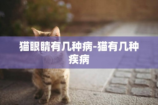 貓眼睛有幾種病-貓有幾種疾病