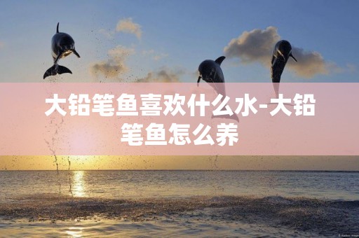 大鉛筆魚喜歡什么水-大鉛筆魚怎么養