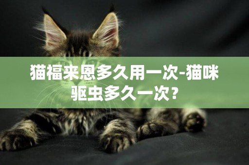貓福來恩多久用一次-貓咪驅蟲多久一次？