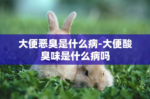 大便惡臭是什么病-大便酸臭味是什么病嗎