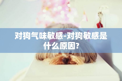 對狗氣味敏感-對狗敏感是什么原因?