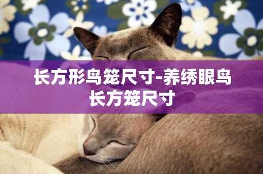 長方形鳥籠尺寸-養繡眼鳥長方籠尺寸