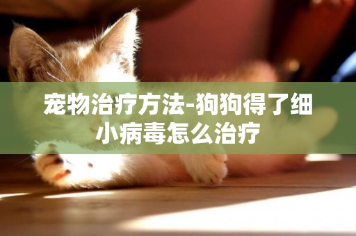 寵物治療方法-狗狗得了細小病毒怎么治療