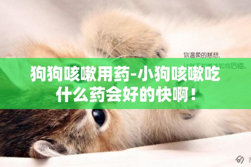 狗狗咳嗽用藥-小狗咳嗽吃什么藥會好的快啊！