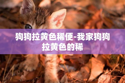 狗狗拉黃色稀便-我家狗狗拉黃色的稀