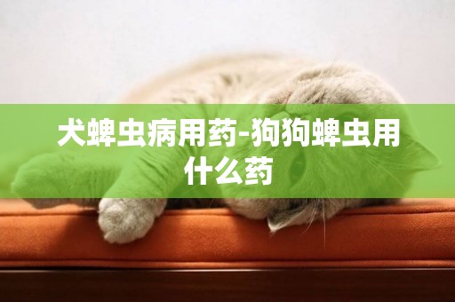 犬蜱蟲病用藥-狗狗蜱蟲用什么藥