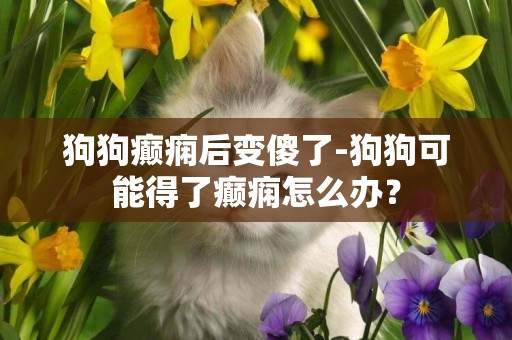 狗狗癲癇后變傻了-狗狗可能得了癲癇怎么辦？