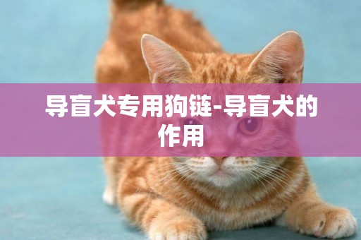導盲犬專用狗鏈-導盲犬的作用