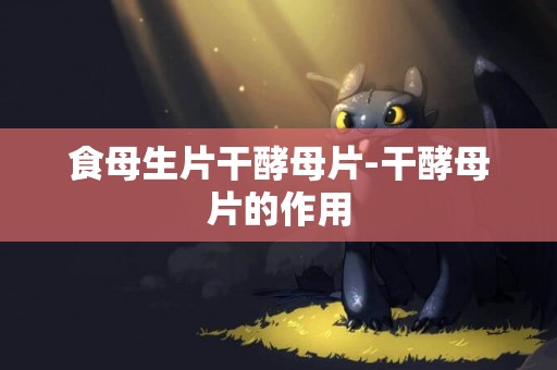 食母生片干酵母片-干酵母片的作用