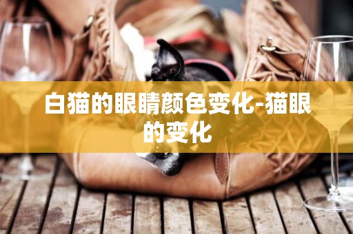 白貓的眼睛顏色變化-貓眼的變化