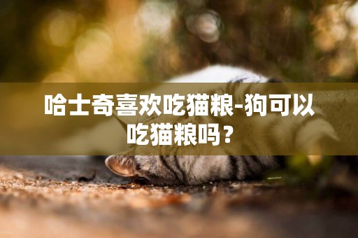 哈士奇喜歡吃貓糧-狗可以吃貓糧嗎？