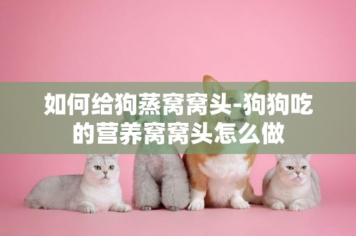 如何給狗蒸窩窩頭-狗狗吃的營養窩窩頭怎么做