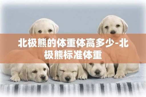 北極熊的體重體高多少-北極熊標準體重