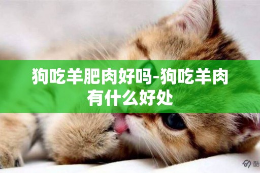 狗吃羊肥肉好嗎-狗吃羊肉有什么好處