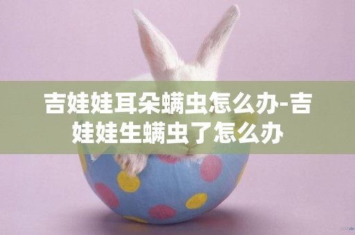 吉娃娃耳朵螨蟲怎么辦-吉娃娃生螨蟲了怎么辦