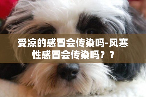 受涼的感冒會傳染嗎-風寒性感冒會傳染嗎？？
