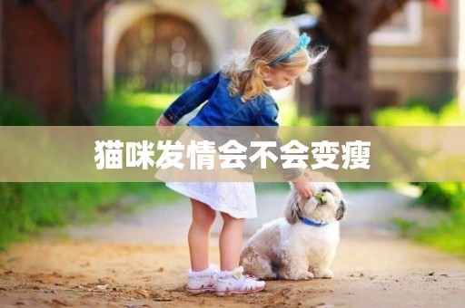貓咪發情會不會變瘦
