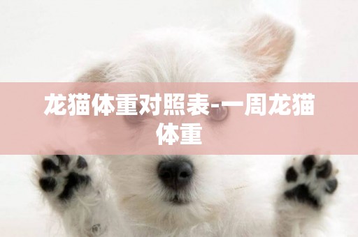 龍貓體重對照表-一周龍貓體重