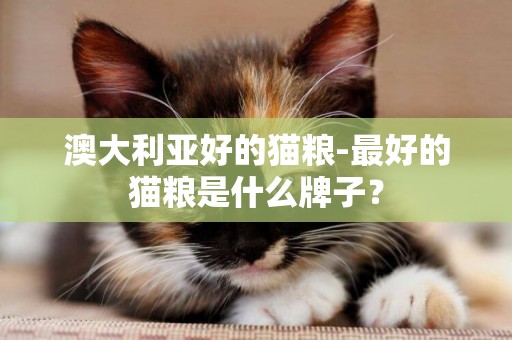 澳大利亞好的貓糧-最好的貓糧是什么牌子？