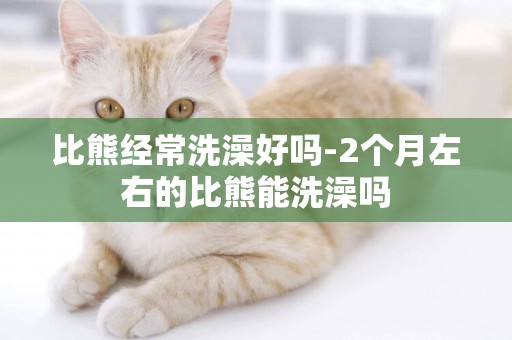 比熊經常洗澡好嗎-2個月左右的比熊能洗澡嗎