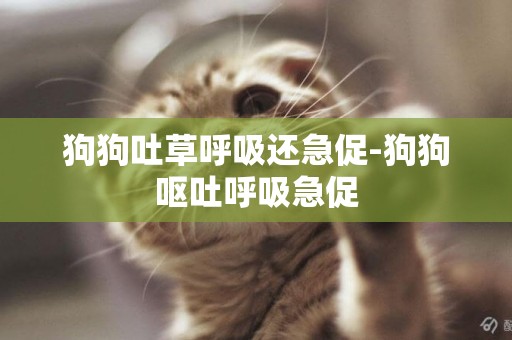 狗狗吐草呼吸還急促-狗狗嘔吐呼吸急促