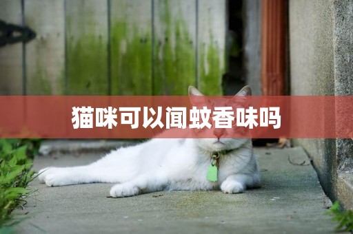 貓咪可以聞蚊香味嗎