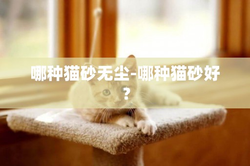哪種貓砂無塵-哪種貓砂好？