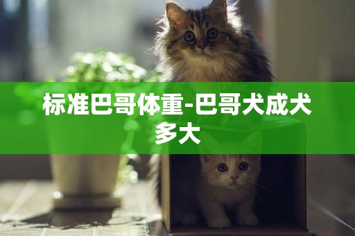 標準巴哥體重-巴哥犬成犬多大