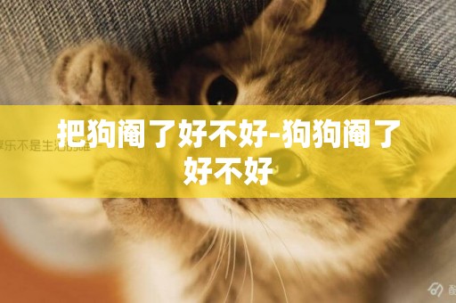 把狗閹了好不好-狗狗閹了好不好