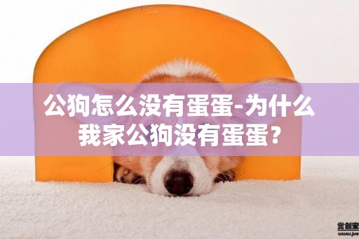 公狗怎么沒有蛋蛋-為什么我家公狗沒有蛋蛋？