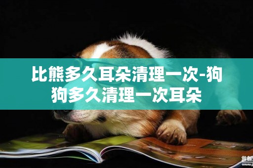 比熊多久耳朵清理一次-狗狗多久清理一次耳朵