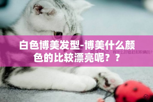 白色博美發型-博美什么顏色的比較漂亮呢？？