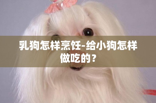 乳狗怎樣烹飪-給小狗怎樣做吃的？