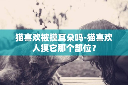 貓喜歡被摸耳朵嗎-貓喜歡人摸它那個部位？
