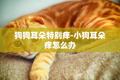 狗狗耳朵特別癢-小狗耳朵癢怎么辦