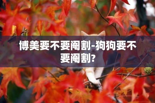 博美要不要閹割-狗狗要不要閹割?