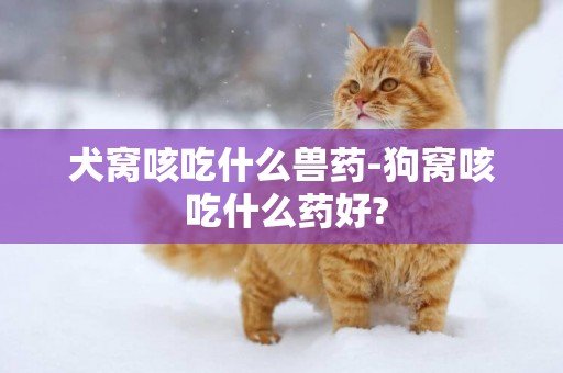 犬窩咳吃什么獸藥-狗窩咳 吃什么藥好?