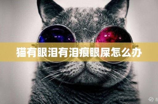 貓有眼淚有淚痕眼屎怎么辦