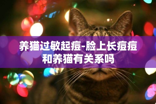 養貓過敏起痘-臉上長痘痘和養貓有關系嗎