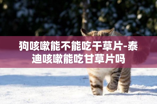 狗咳嗽能不能吃干草片-泰迪咳嗽能吃甘草片嗎