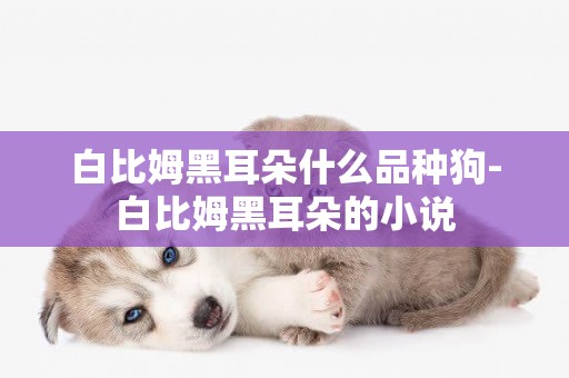 白比姆黑耳朵什么品種狗-白比姆黑耳朵的小說
