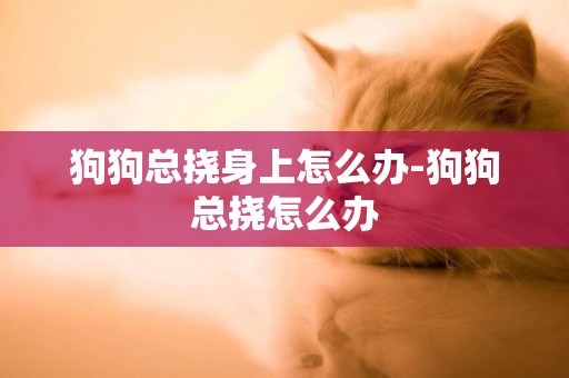 狗狗總撓身上怎么辦-狗狗總撓怎么辦