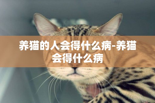 養貓的人會得什么病-養貓會得什么病