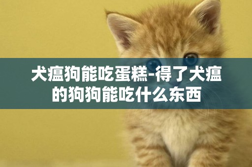 犬瘟狗能吃蛋糕-得了犬瘟的狗狗能吃什么東西